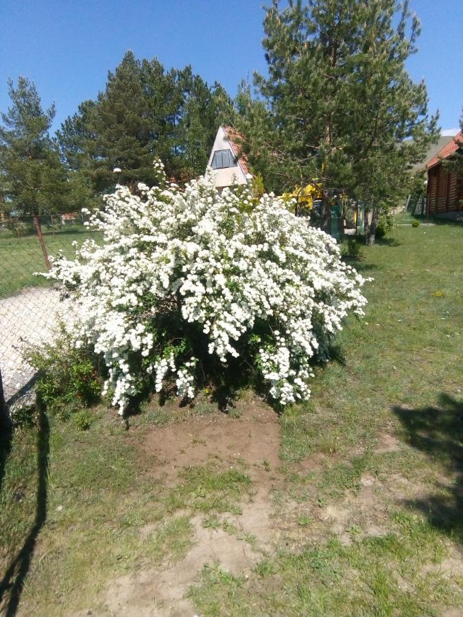 Apartman Marija Zlatibor Exteriér fotografie