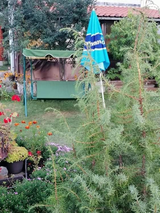 Apartman Marija Zlatibor Exteriér fotografie