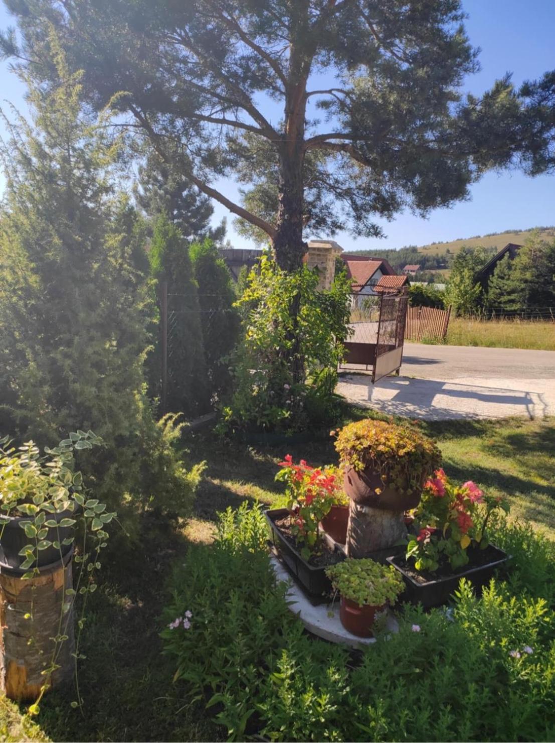 Apartman Marija Zlatibor Exteriér fotografie